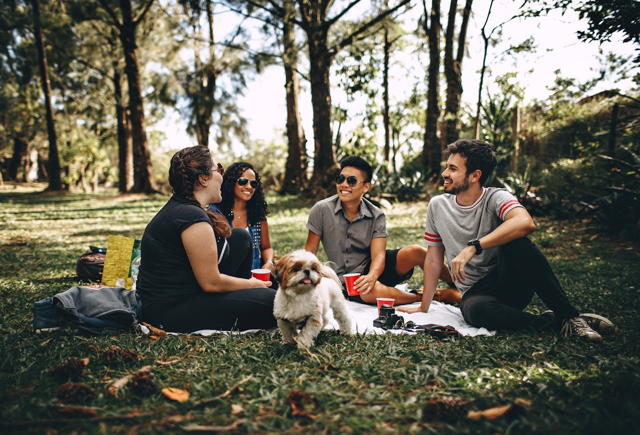 Off-Leash Training for Dogs