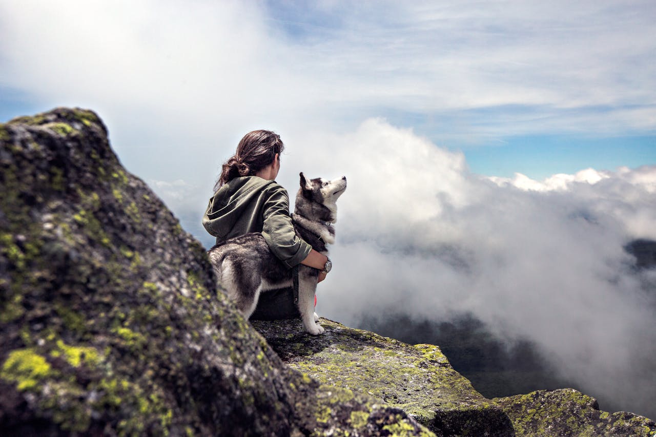 Off-Leash Training for Dogs