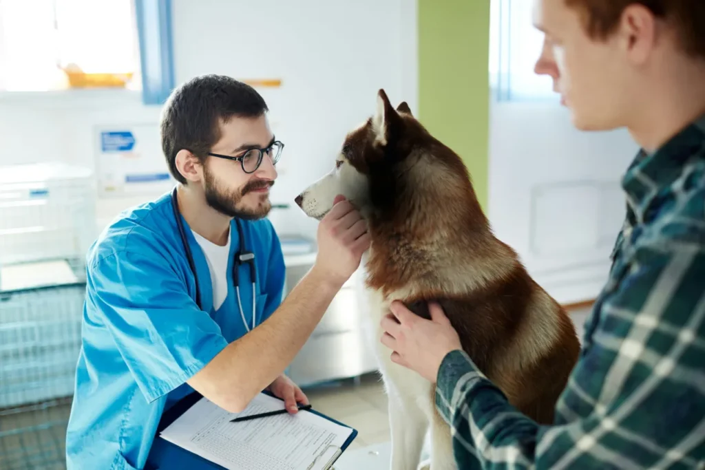 husky and pet owner at a vet clinic